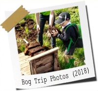 Click here to see the Bog Trip photos